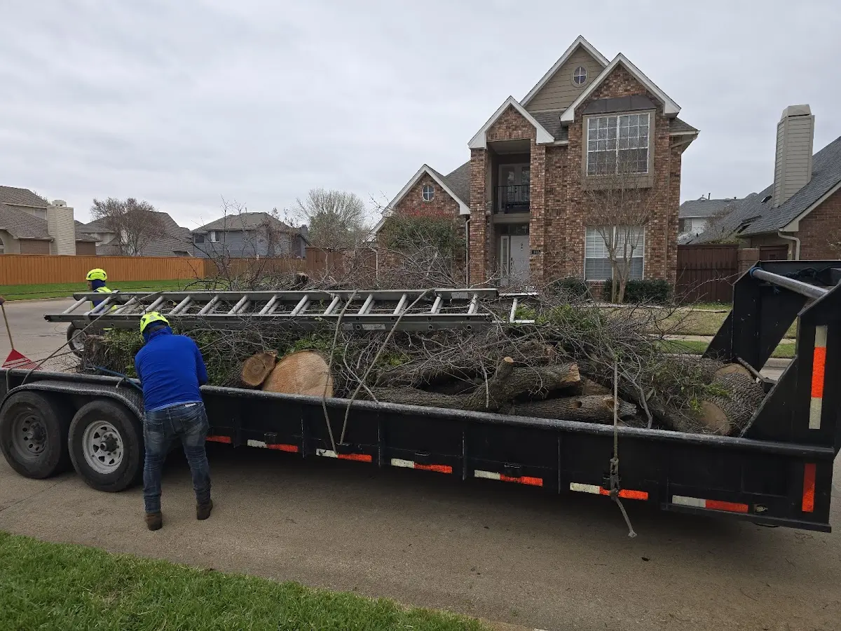 Expert Lot Clearing with proper safety equipment in Webb